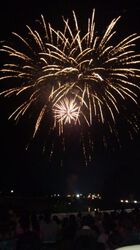 美作ふるさと祭り花火大会