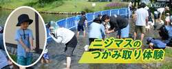 「清流の池でニジマスのつかみ取り＆水上アスレチックを体験！長野・安曇野で涼む夏休み」の写真