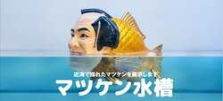マツケン魚展示