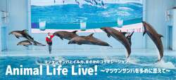 Animal Life Live！