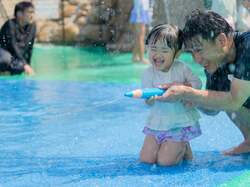 「ハーベストの丘でじゃぶじゃぶ広場がアヒルまみれ！7万本のひまわり、雪遊び、花火も」の写真