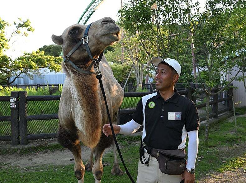 トワイライトふれあいパーク