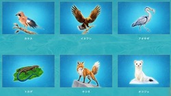 カモシカ、クマ、カケス、モリアオガエルなど、四万に息づく全20種類の動植物（3DCG）