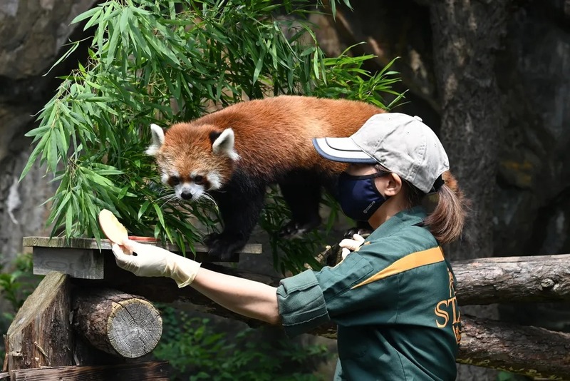 ナイトのげやまにあわせて、各展示場前では飼育員による特別ガイドを行います