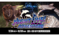 夕方から夜にかけて変化していく、動物たちの圧倒的な躍動感を体感できる夏期限定イベントです
