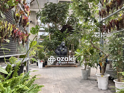 「カブトムシ200匹・珍植物・爬虫類も！練馬のフラワーパークに自然体験イベント集結」の写真