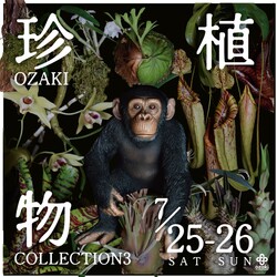 「カブトムシ200匹・珍植物・爬虫類も！練馬のフラワーパークに自然体験イベント集結」の写真