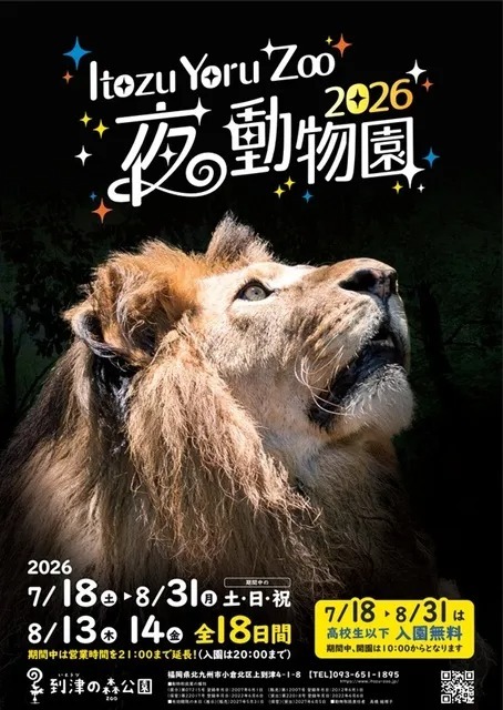 暗闇に潜む動物を観察しよう！