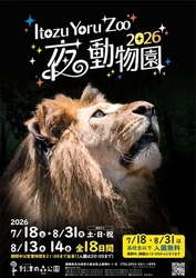 暗闇に潜む動物を観察しよう！