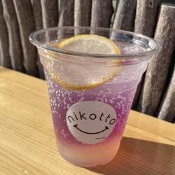 「入場無料！印旛沼を望む絶景キャンプ場でびしょ濡れ体験　佐倉市での夏イベント初開催」の写真