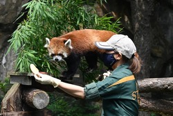 ナイトのげやまにあわせて、各展示場前では飼育員による特別ガイドを行います