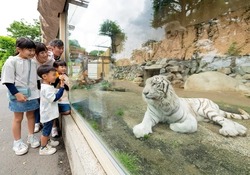日中とは異なる暗闇のなかで過ごす動物たちを、親子で観察しよう！