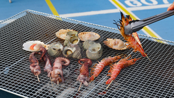 「昼はニジマス体験、夜はランタンリリース！大阪北港マリーナで1日限定の夏フェス開催」の写真