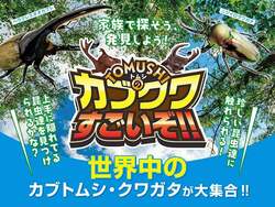 「【関東】2026年夏休みに行きたい！おすすめ昆虫イベント＆昆虫展16選 ふれあい体験も」の写真