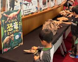 「ティラノサウルスに大接近！本物そっくりの恐竜パペットショーが全国21都市で開催中」の写真