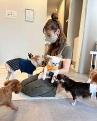 「オープン記念で入場無料も！　保護犬猫とふれあえる「ANELLA CAFE」大阪堺店」の写真