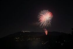 第25回 いこまどんどこまつり