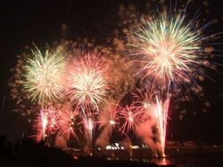 きにゃんね大仁夏祭り（C）伊豆の国市観光協会