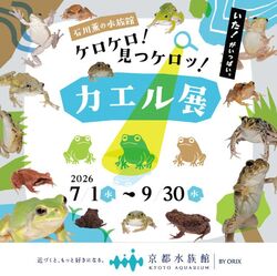 「【関西】涼しく遊ぶ！8月8日～11日おでかけイベント15選 水かけ・夜の水族館も」の写真