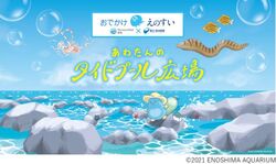 「【神奈川】8月8日～11日の涼しいおでかけイベント5選 水遊び・夜の水族館も」の写真