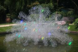 「【神奈川】8月8日～11日の涼しいおでかけイベント5選 水遊び・夜の水族館も」の写真