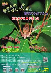 「ペンギンとじゃぶじゃぶ池＆夜の動物園も！　智光山公園こども動物園で夏休みイベント」の写真
