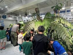 世界最大の350種類のクワガタ・カブトムシ展