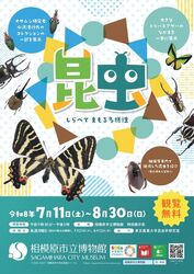昆虫 しらべてまもる多様性
