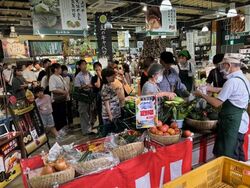 「500円で幻のキャベツを積み放題！親子で挑戦できる「キャベツパニック」が群馬で開催」の写真
