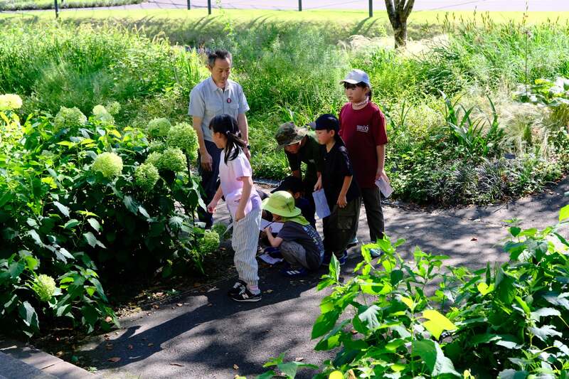 「夏のガーデン謎解き大冒険」で謎解きをしている様子