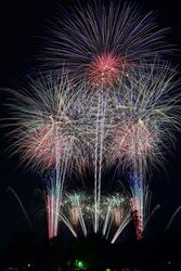 第37回 新田まつり花火大会
