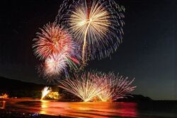 第49回 弓ヶ浜花火大会│(C)一般社団法人南伊豆町観光協会