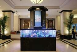 ロビー展示『錦魚の舞』