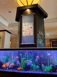 ロビー展示『錦魚の舞』