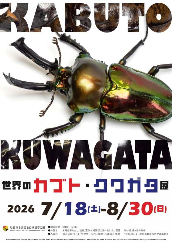 「KABUTO」「KUWAGATA」の文字は実際のカブト・クワガタの写真で表されている