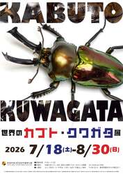 「KABUTO」「KUWAGATA」の文字は実際のカブト・クワガタの写真で表されている