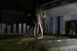 「【関東】8月13～16日に自由研究に役立つ学び体験11選｜昆虫・謎解き・お仕事体験も」の写真