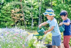 「【関東】8月13～16日に自由研究に役立つ学び体験11選｜昆虫・謎解き・お仕事体験も」の写真