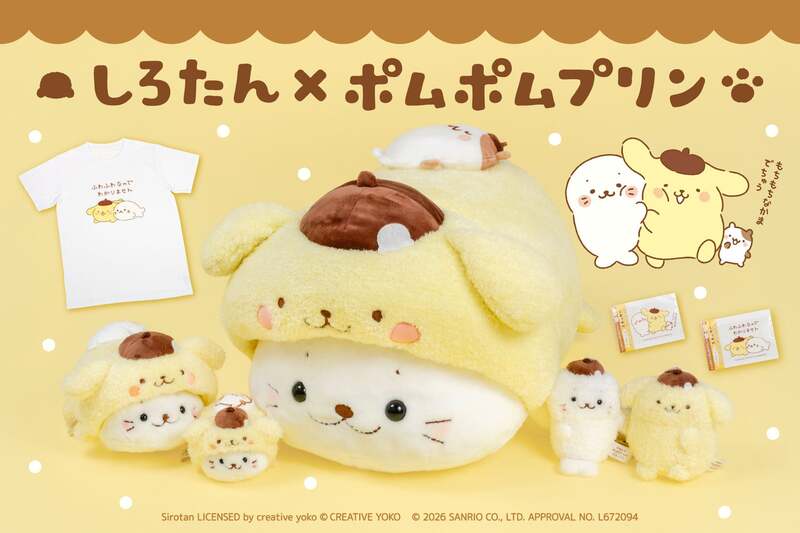 しろたん「しろたん×ポムポムプリン」 （C）2026 SANRIO CO., LTD.