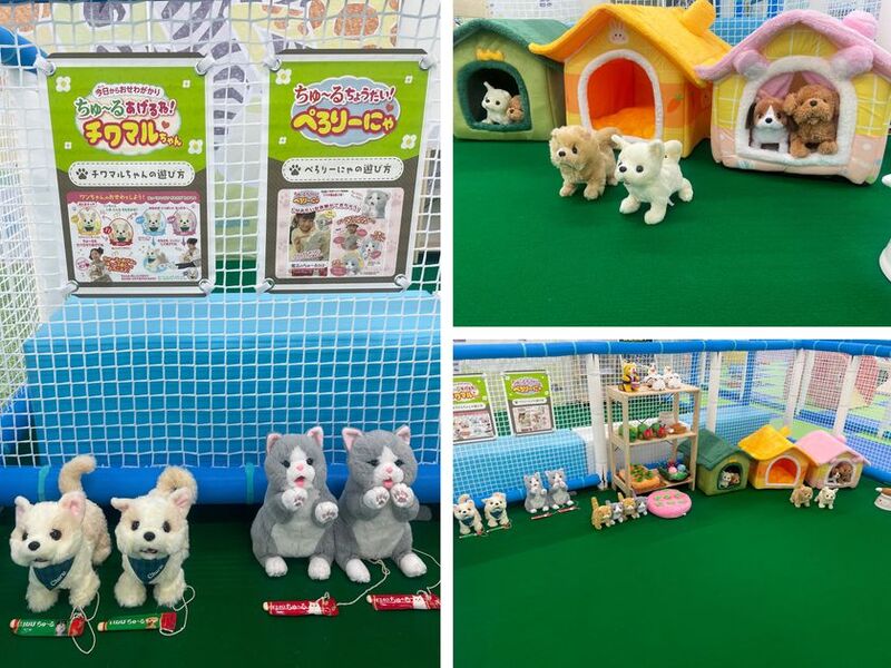 癒し動物園