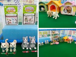 癒し動物園