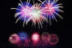 宇都宮の夜空を約2万発の花火が彩る！（画像提供：一般社団法人 宇都宮観光コンベンション協会）