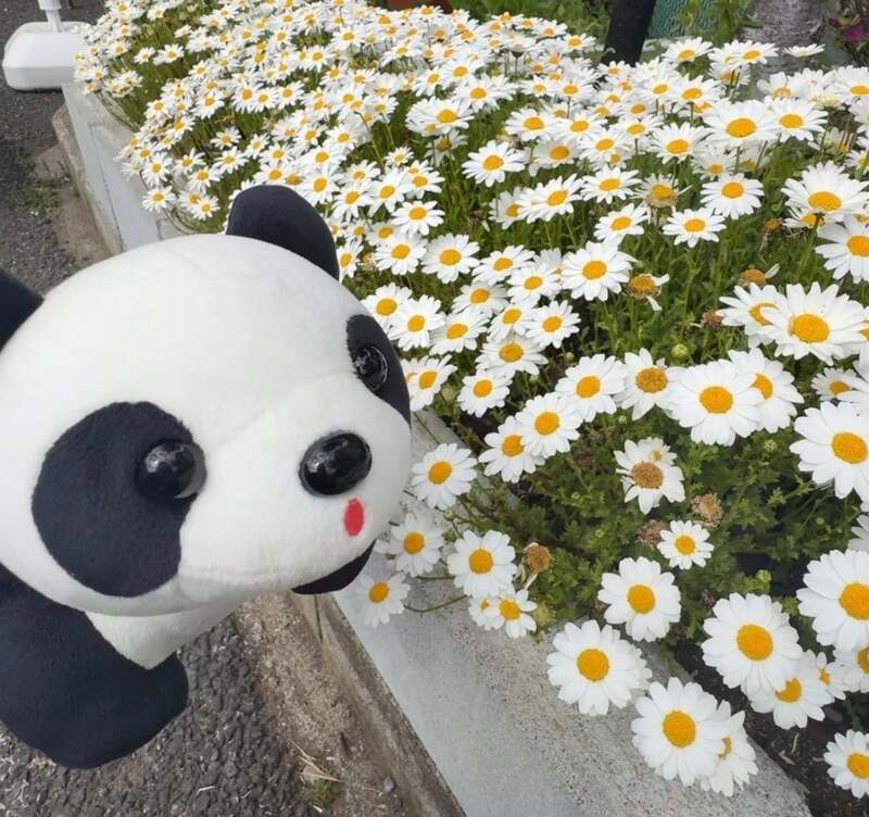 開園173周年で初となる特別企画