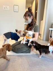 「保護犬猫とふれあえる「ANELLA CAFE」岡山県3店舗目が8月1日にオープン」の写真