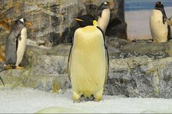 「【名古屋】子連れにおすすめ観光スポット13選！　1日遊べる人気定番＆入場無料も多数」の写真
