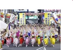 南越谷阿波踊り