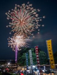 第3回奥町花火大会（撮影者：羽木貴規）
