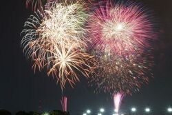 刈谷わんさか祭り2026 花火大会（刈谷市観光協会）