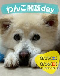 わんこ開放day（ピースワンコ・ジャパン岡山譲渡センター）