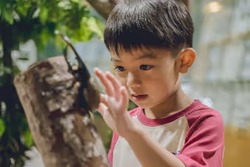 キッズ大人気 せかいの昆虫展！ カブトムシやクワガタを中心に生体する約30種類を展示